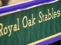 Royal Oak Stables: January 2016 News